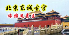 又色又黄又爽又起劲中国北京-东城古宫旅游风景区